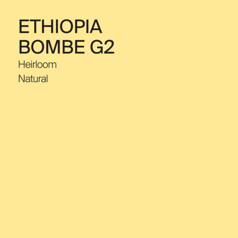 ethiopia bombe g2 coffee