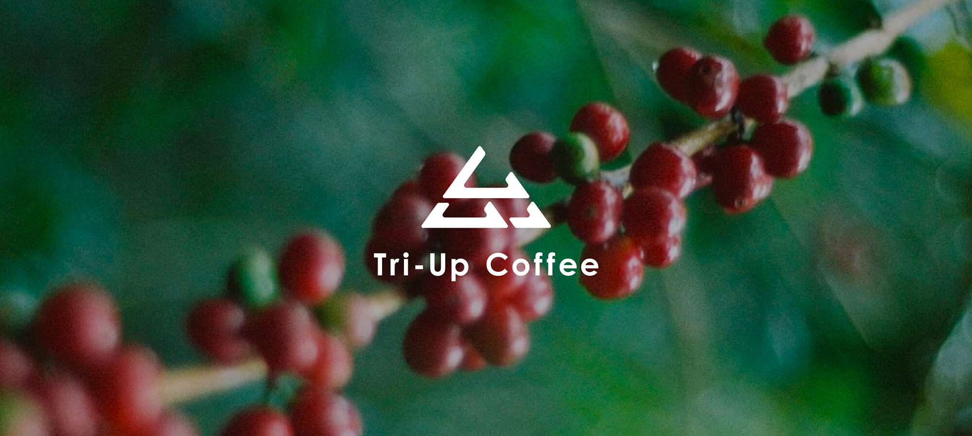 Tri-Up Coffee