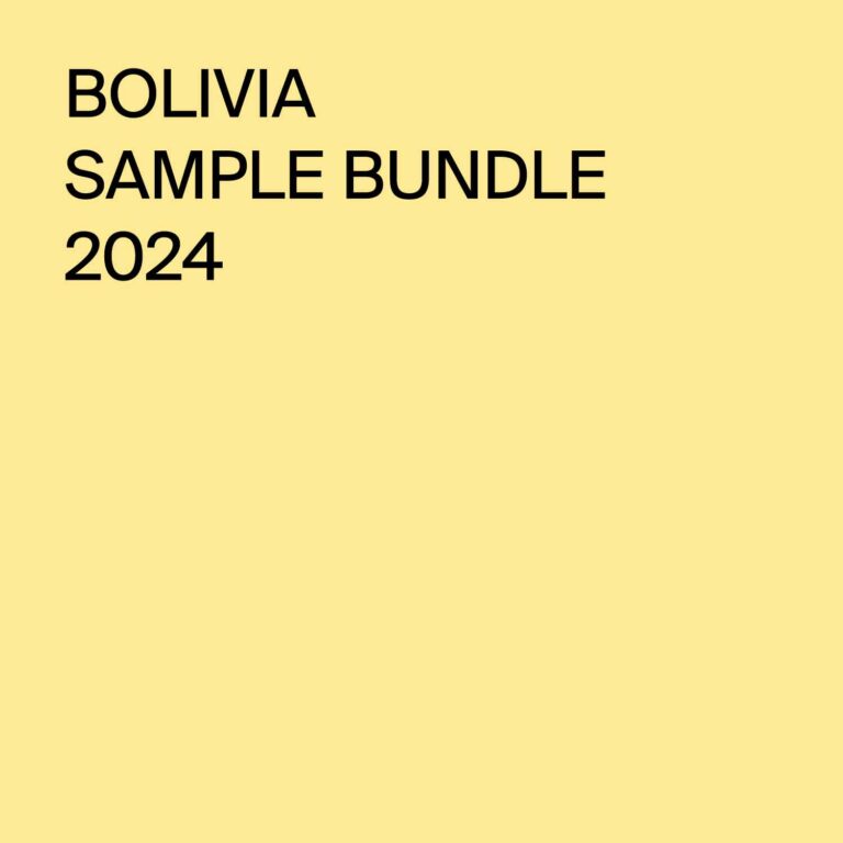 Bolivia bundle